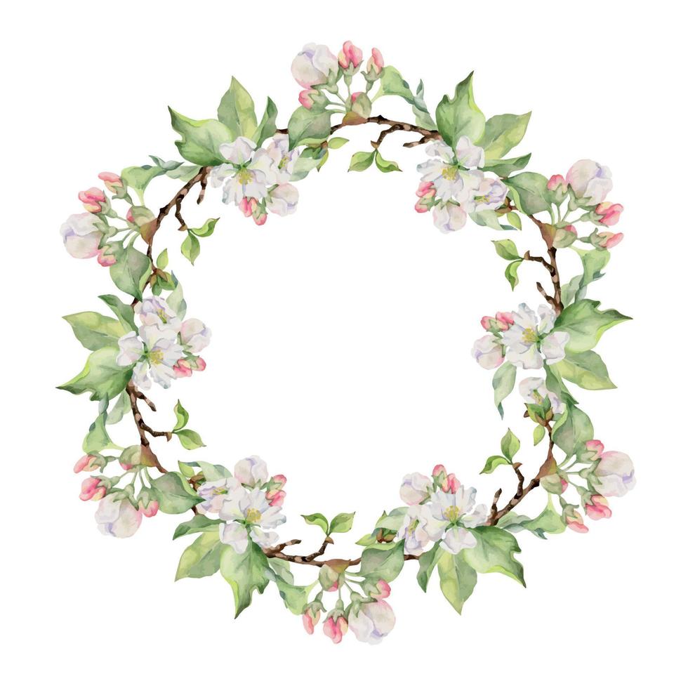 Hand drawn watercolor apple flowers, branches and leaves, white, pink and green blossom. Circle round wreath. Isolated on white background. Design for wall art, wedding, print, fabric, cover, card. vector