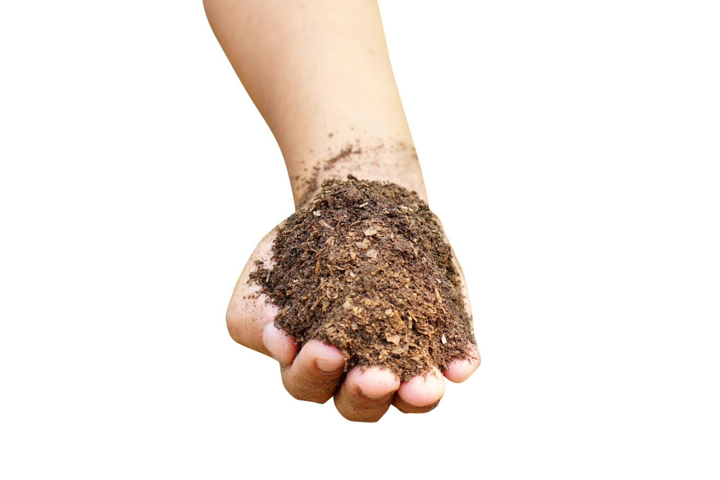 Soil for growing plants in human hands png