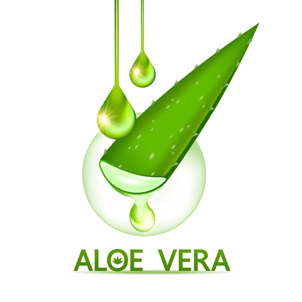 aloe vera collagen and serum for skin care cosmetic vector