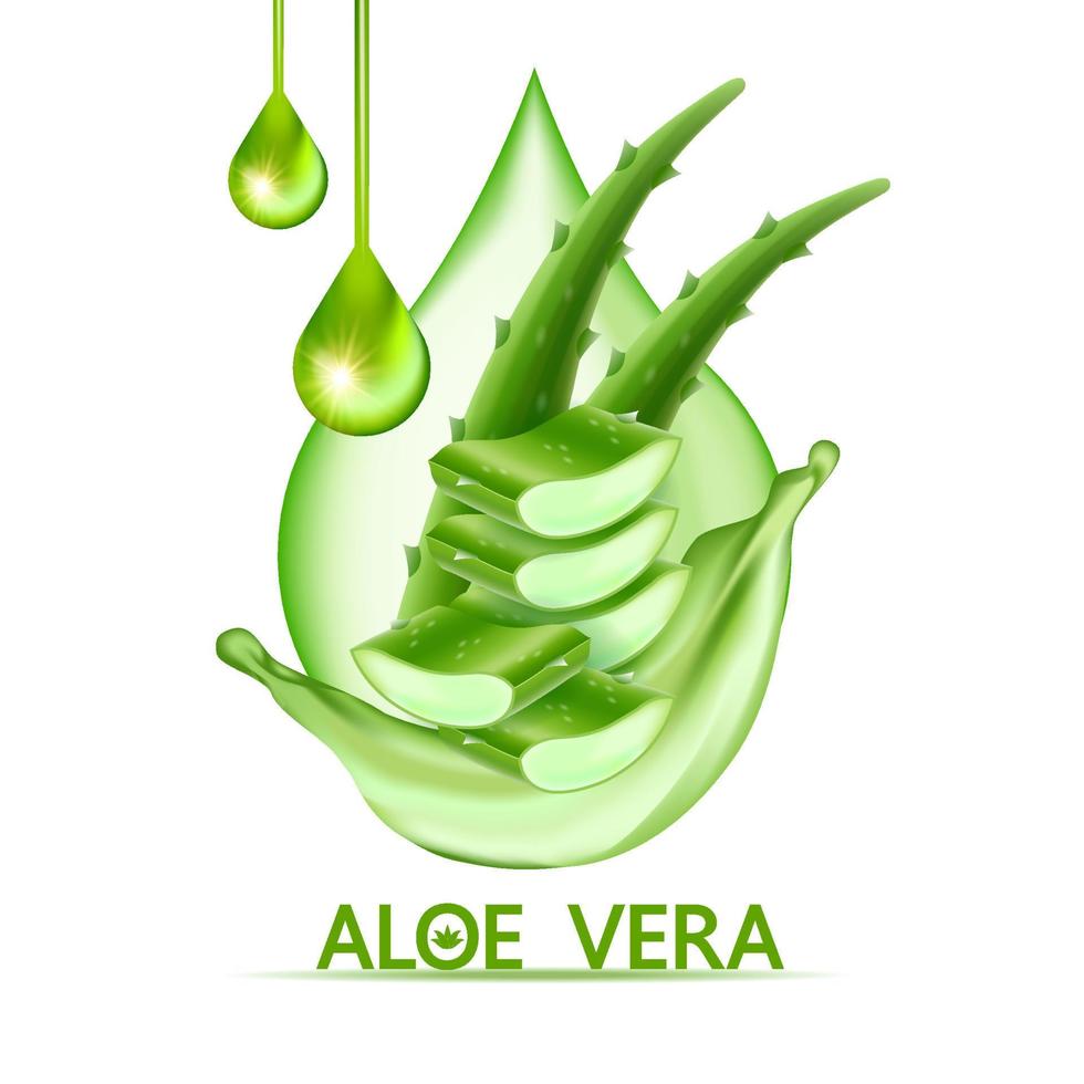 aloe vera collagen and serum for skin care cosmetic vector