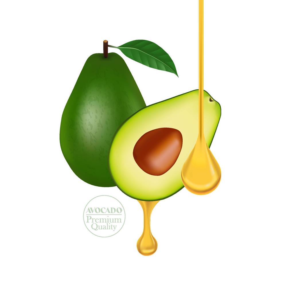 Fresh avocado for good health vector illustration