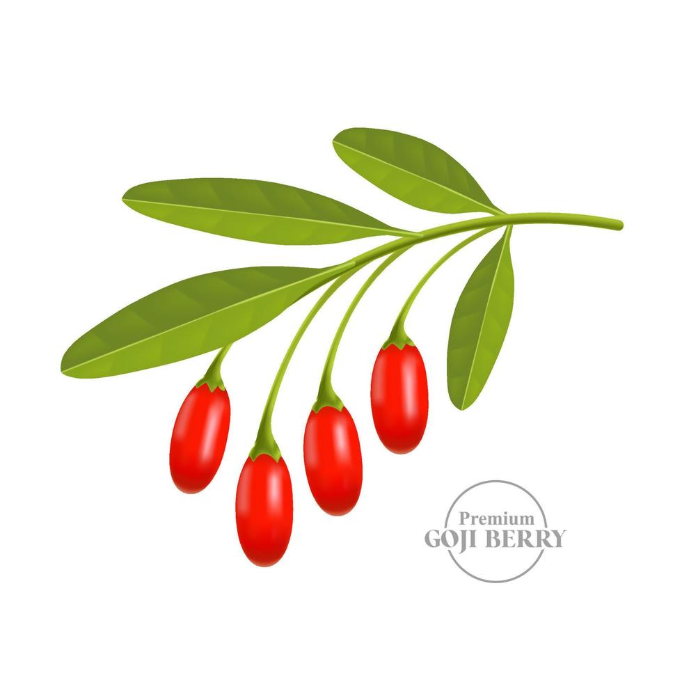 Goji berry serum for skin care package illustration vector
