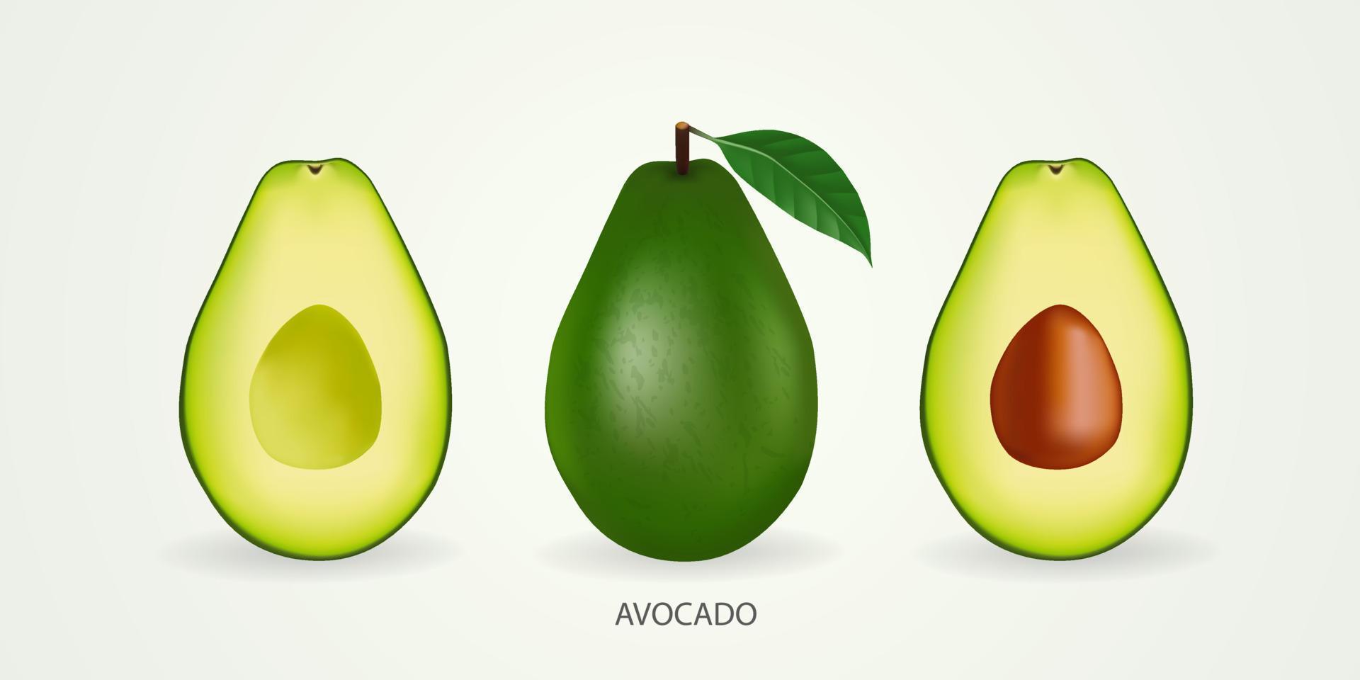 Fresh avocado for good health vector illustration