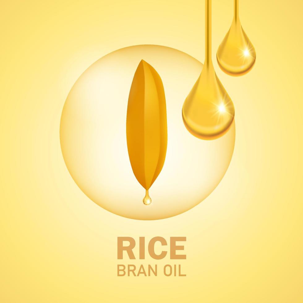 Premium Rice great quality design concept  vector. vector