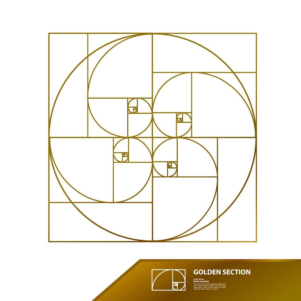 Golden ratio for creative design section vector illustration.