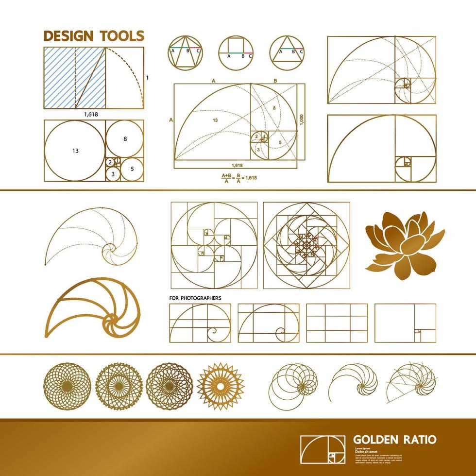 Golden ratio for creative design section vector illustration.