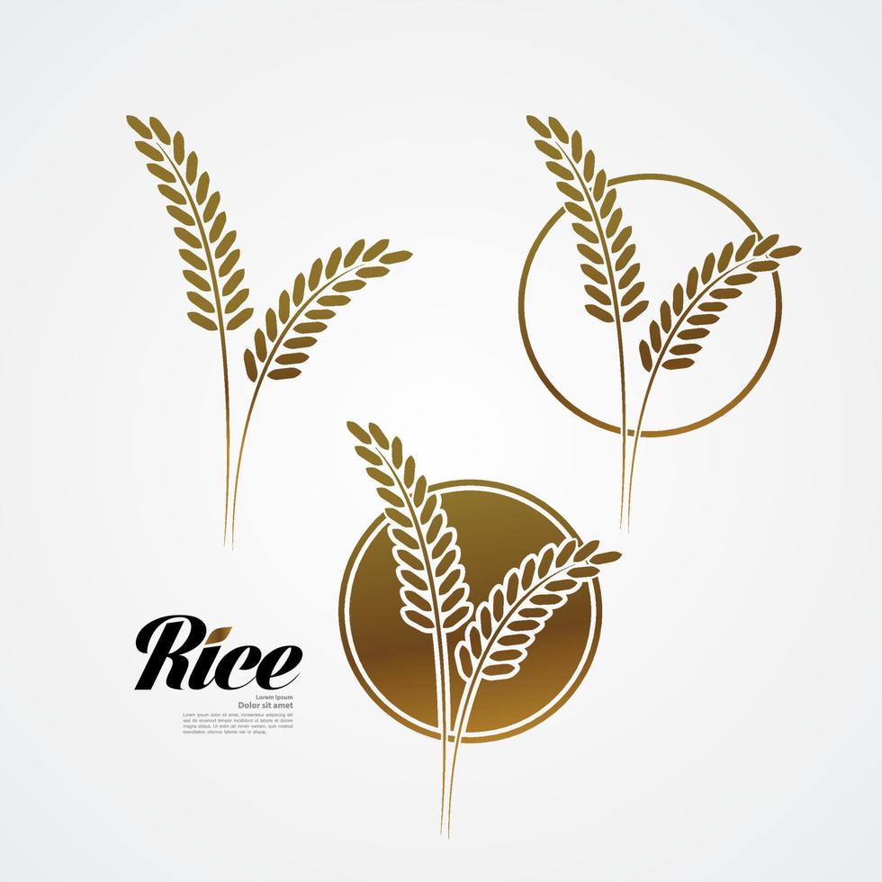 Premium Rice great quality design concept  vector. vector