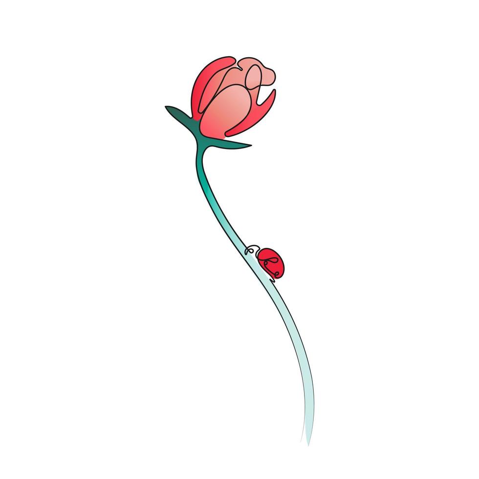 Ladybug sitting on flower. One line art drawing. Spring vector illustration.