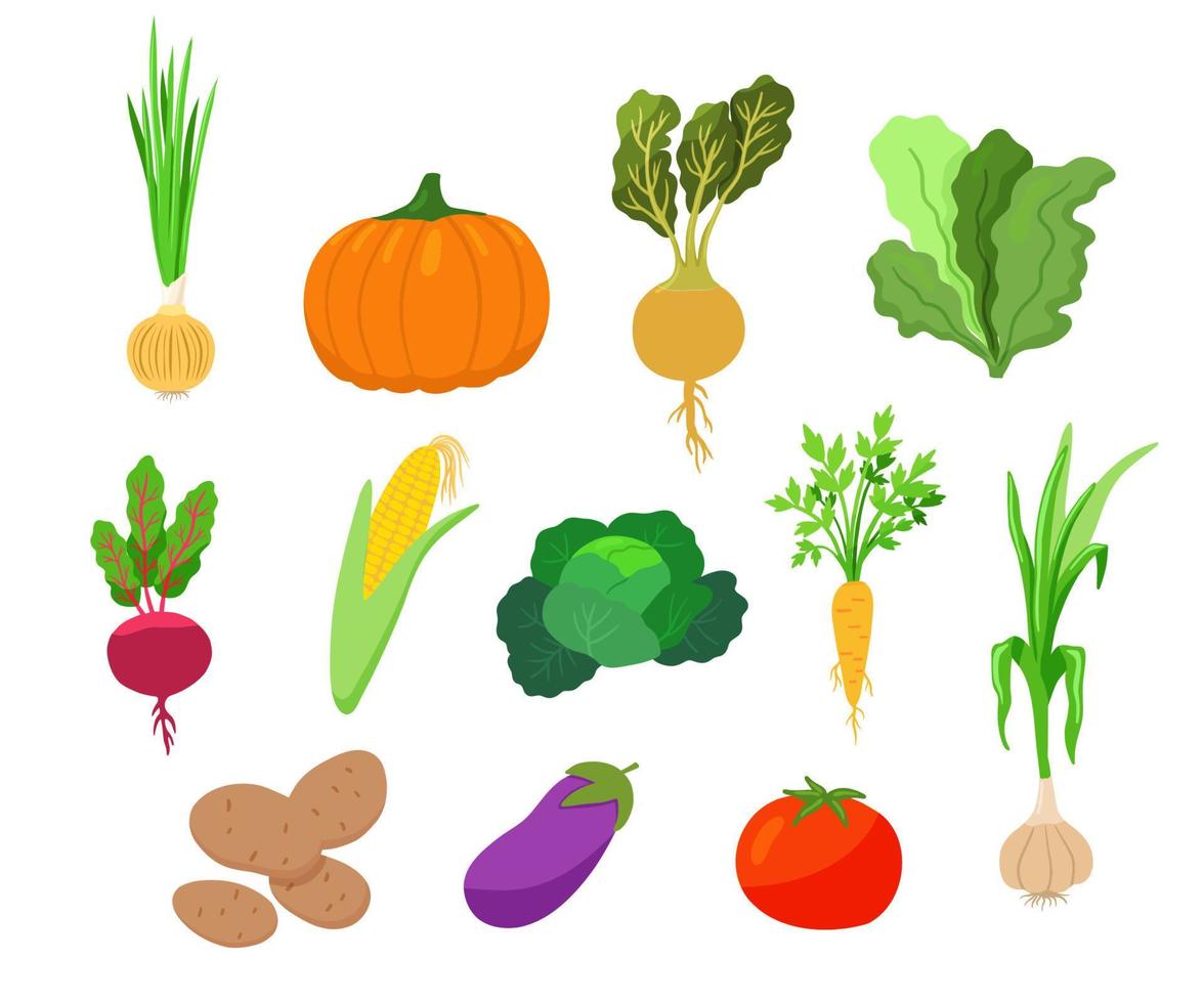 conjunto de vegetales en dibujos animados estilo. tomate, ajo, calabaza, calabacín, maíz aislado en blanco antecedentes. vector mano dibujado imágenes prediseñadas