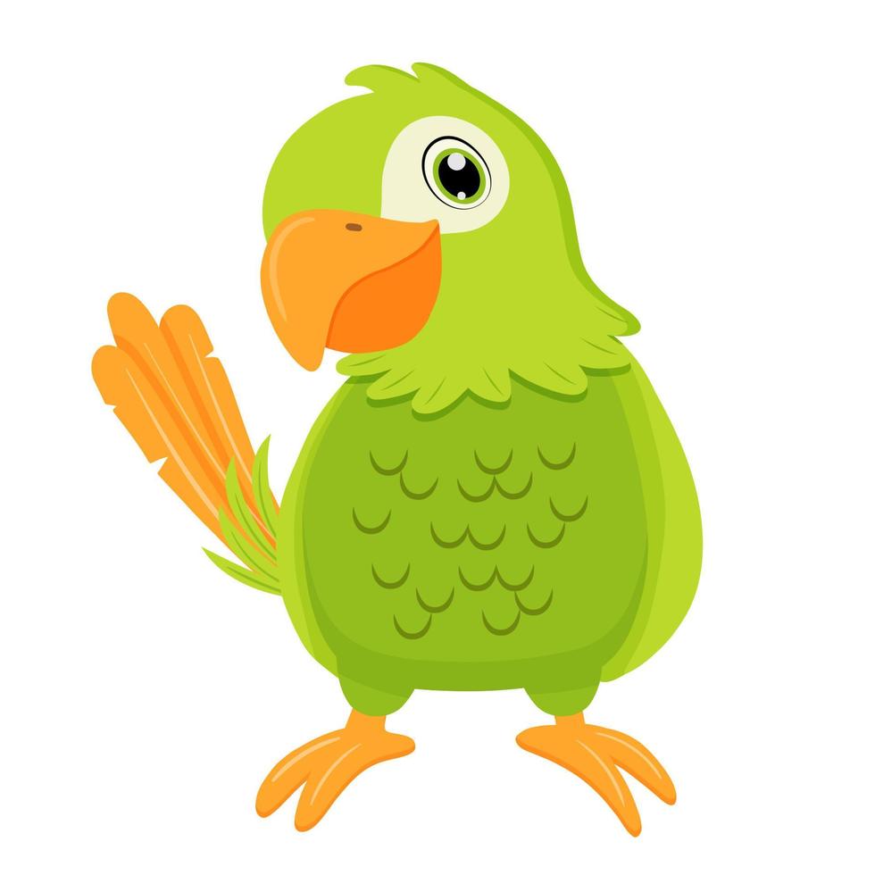 Green parrot bird. Flat cartoon character isolated on white. vector