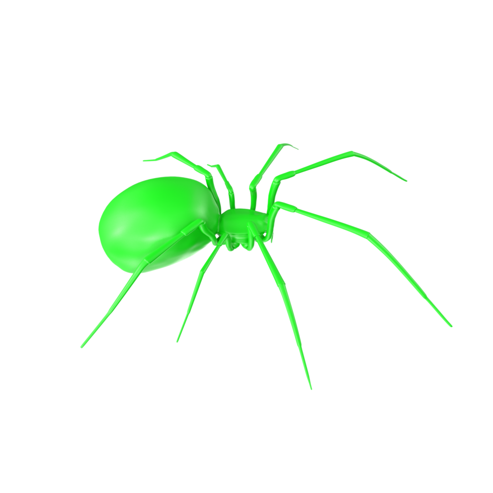 spider isolated on transparent background png