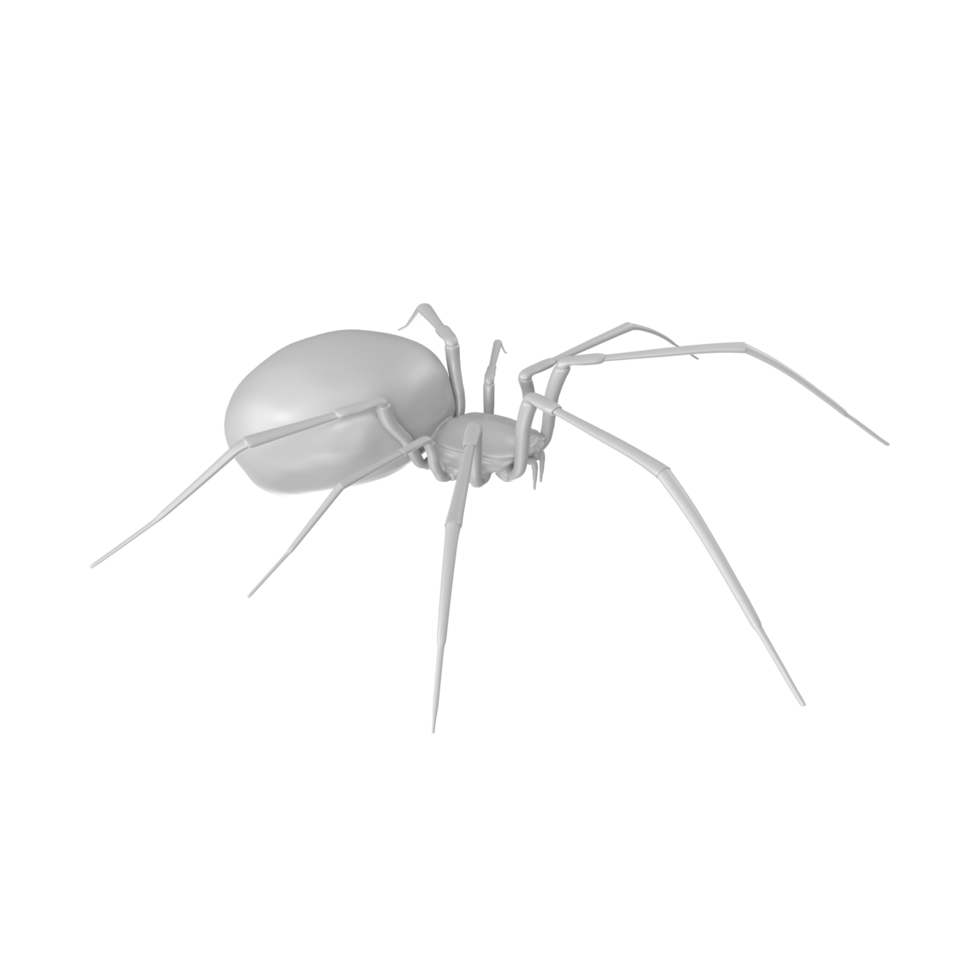 araña aislado en transparente antecedentes png