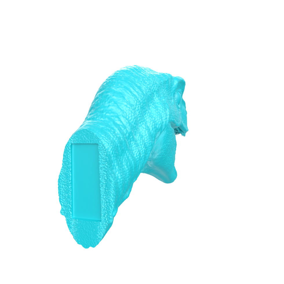 Raptor head isolated on transparent background png