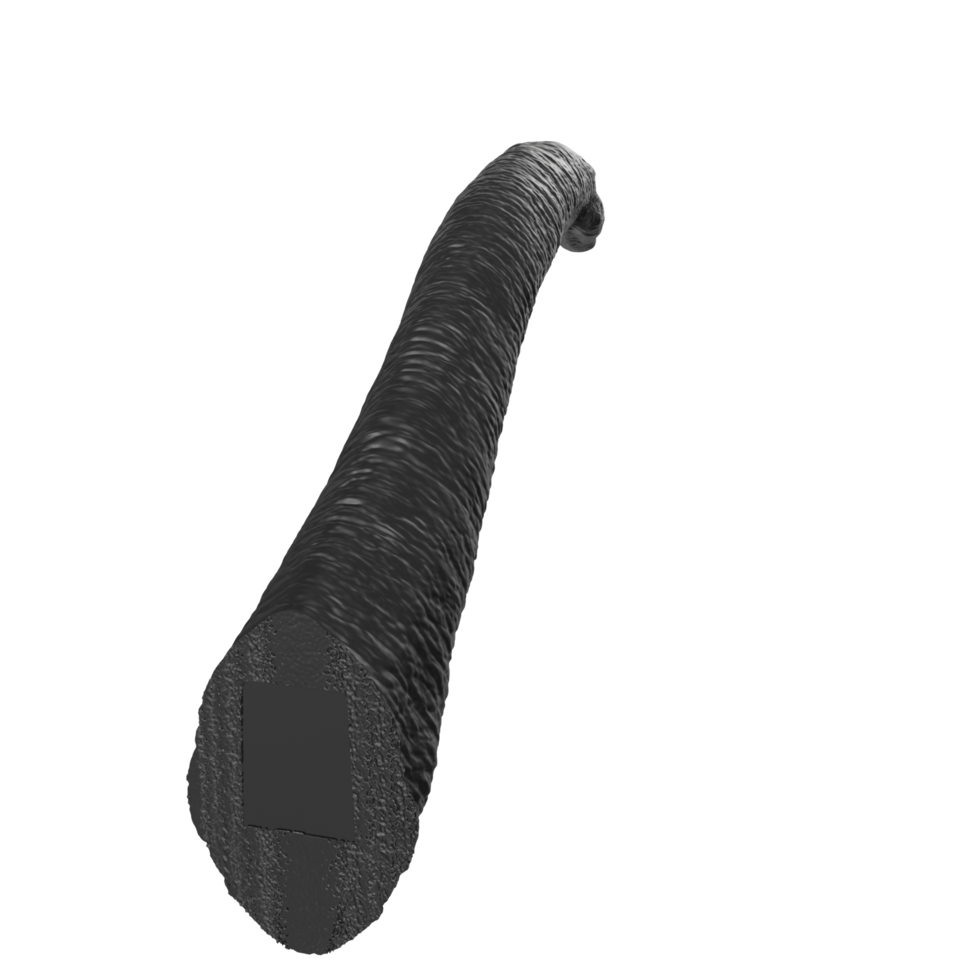 Apatosaurus animal isolated on transparent background png