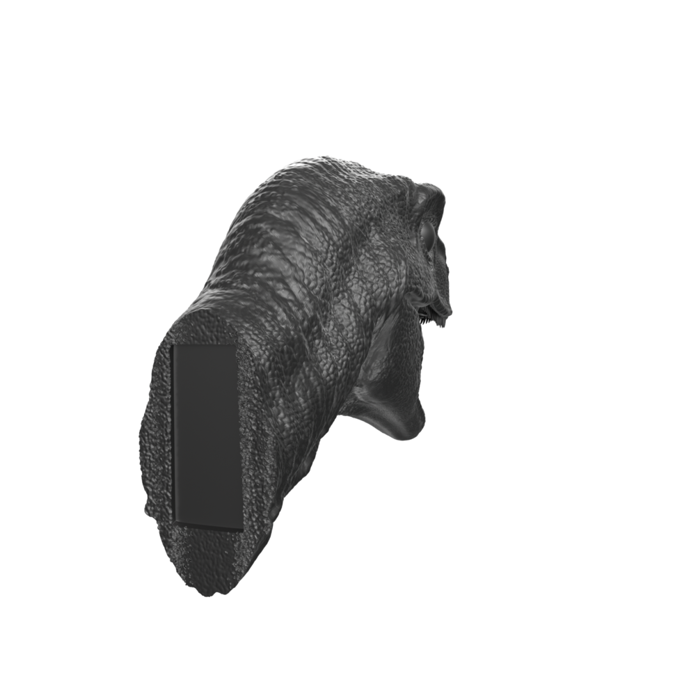 Raptor head isolated on transparent background png