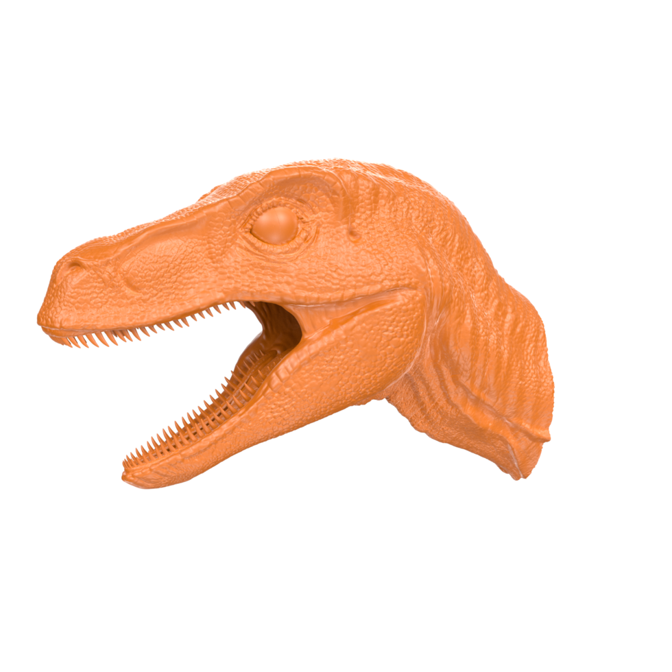 raptor cabeça isolado em transparente fundo png