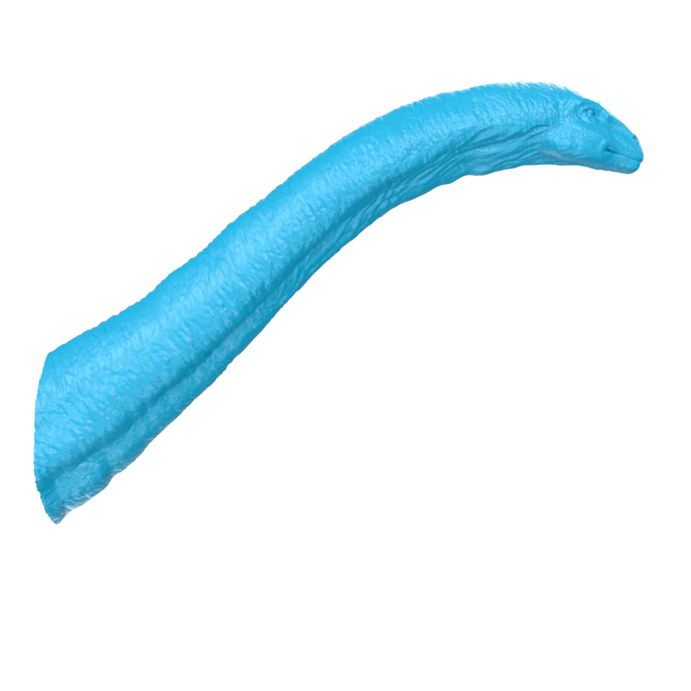 apatosaurus animal isolado em transparente fundo png