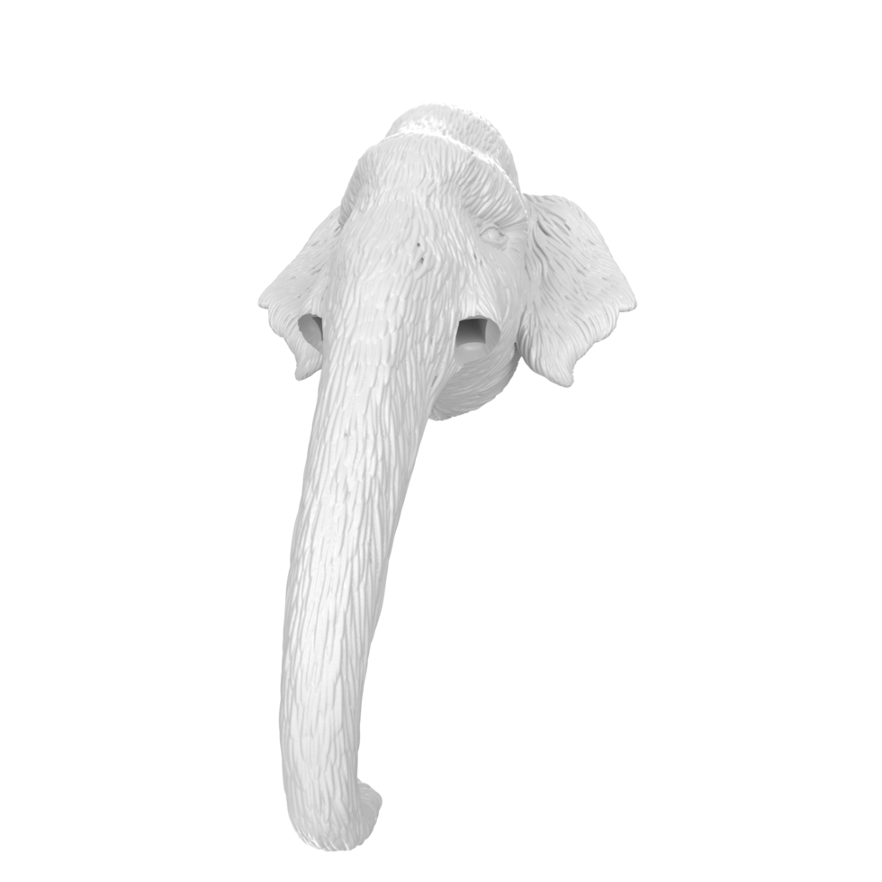 Mammoth head isolated on transparent png