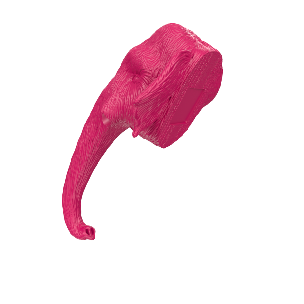 mammut testa isolato su trasparente png