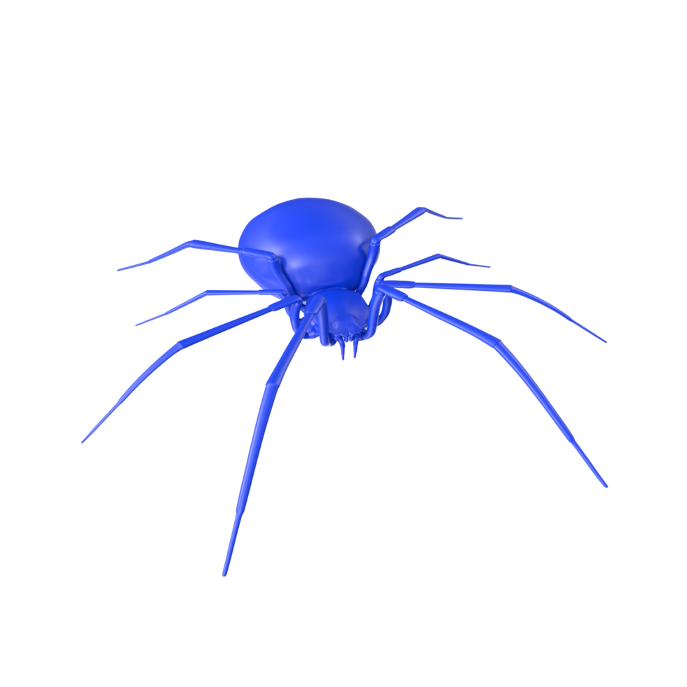 spider isolated on transparent background png