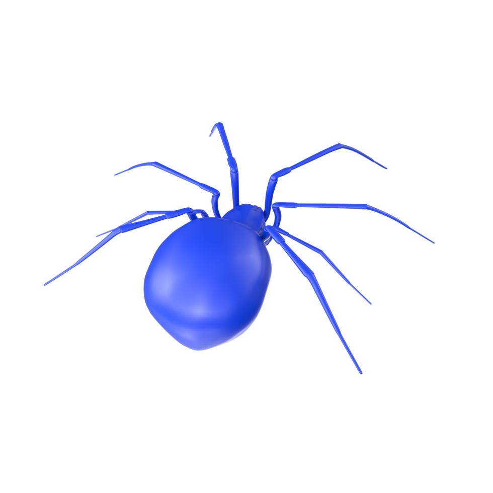 Spinne isoliert auf transparent Hintergrund png