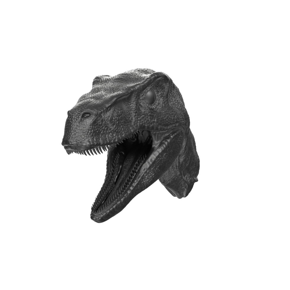 raptor cabeça isolado em transparente fundo png