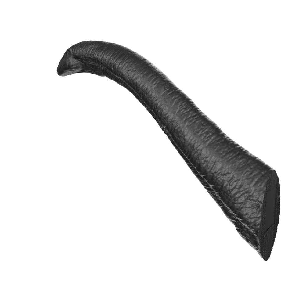 Apatosaurus Tier isoliert auf transparent Hintergrund png