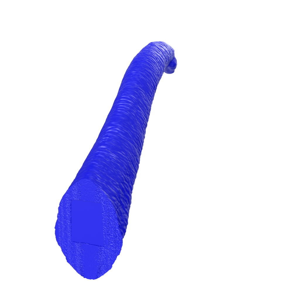 apatosaurus dier geïsoleerd Aan transparant achtergrond png