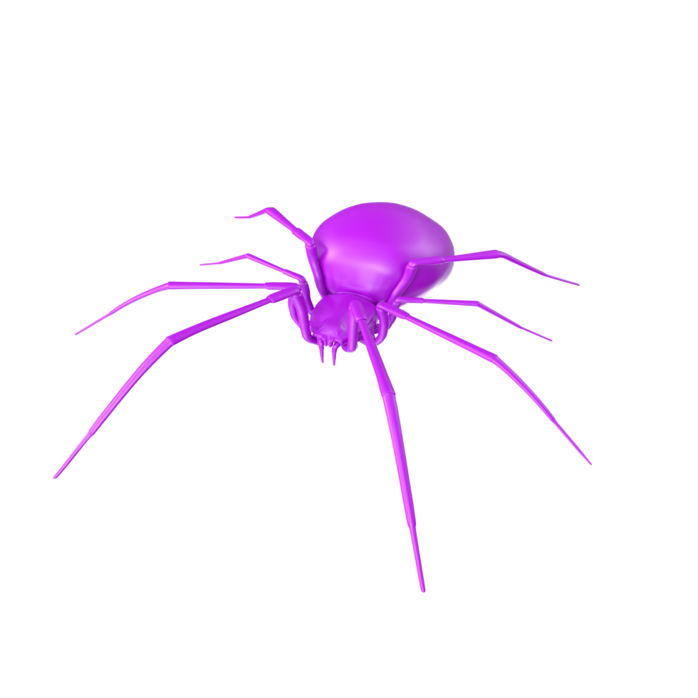spider isolated on transparent background png