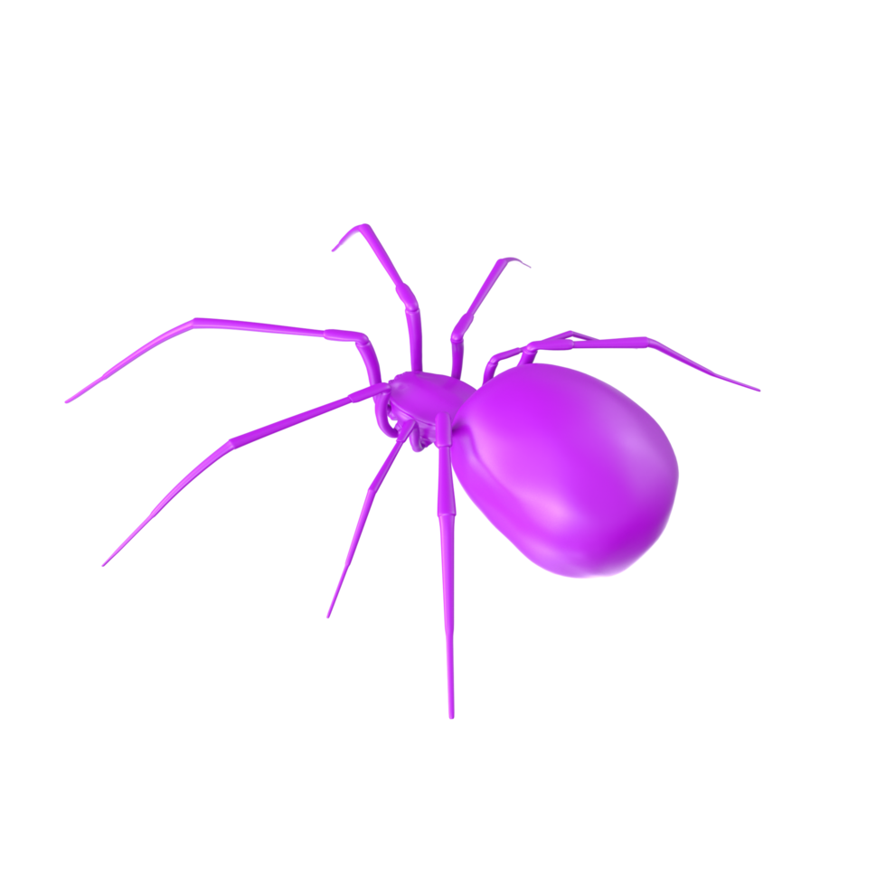 spider isolated on transparent background png