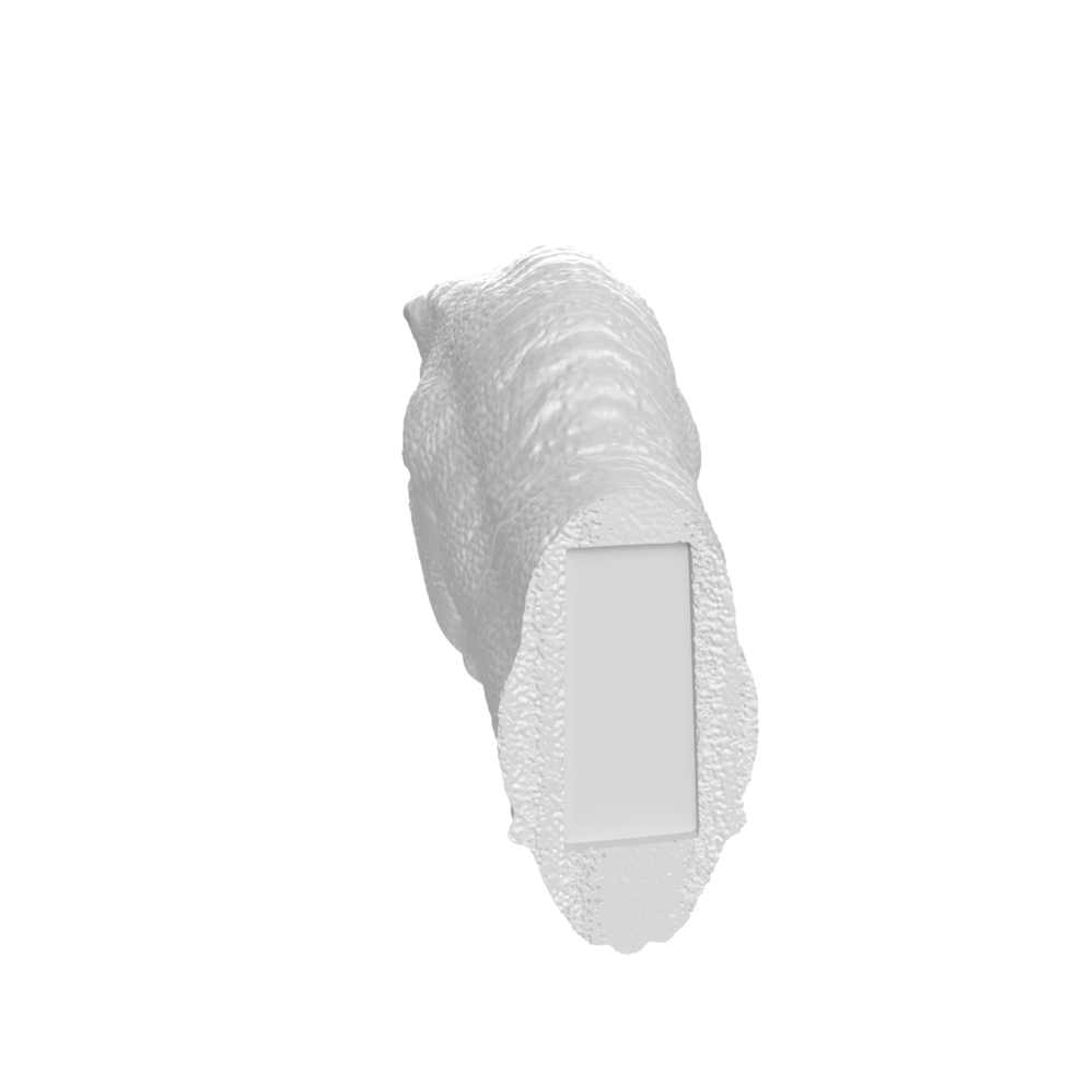 Raptor head isolated on transparent background png