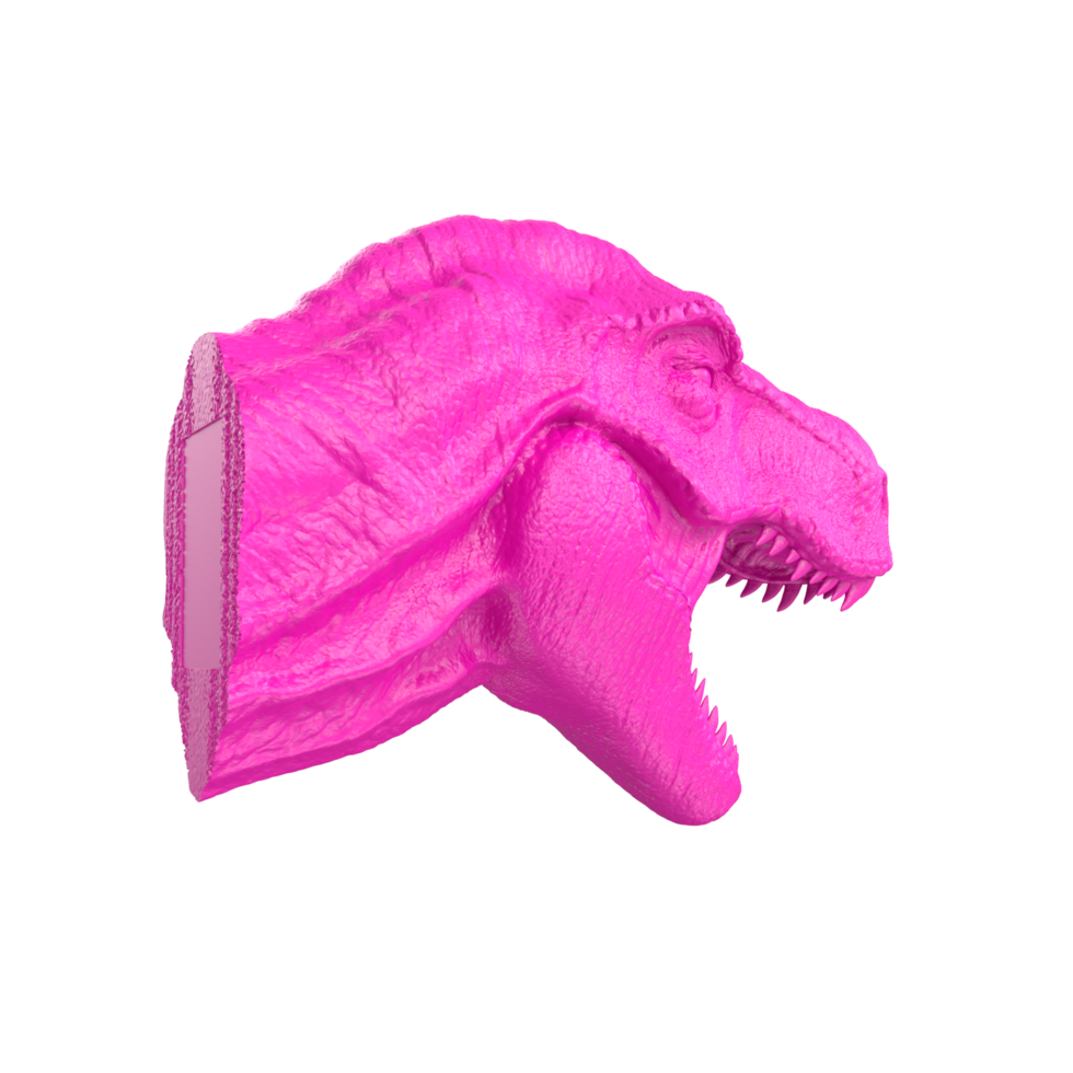 Tyrannosaurus rex isoliert auf transparent Hintergrund png