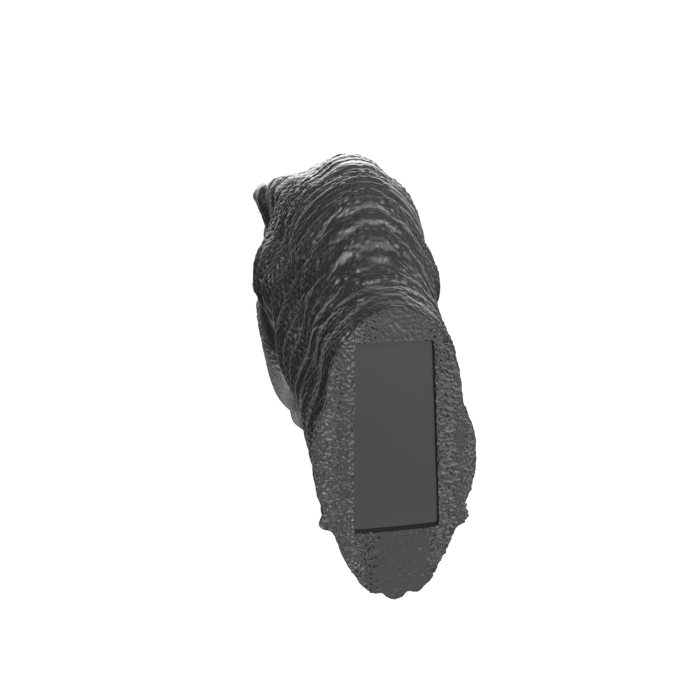 Raptor head isolated on transparent background png