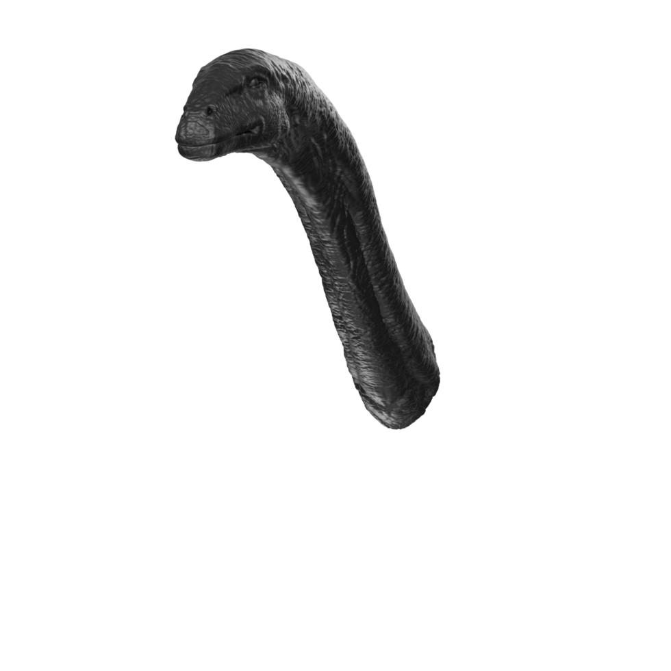 Apatosaurus animal isolated on transparent background png