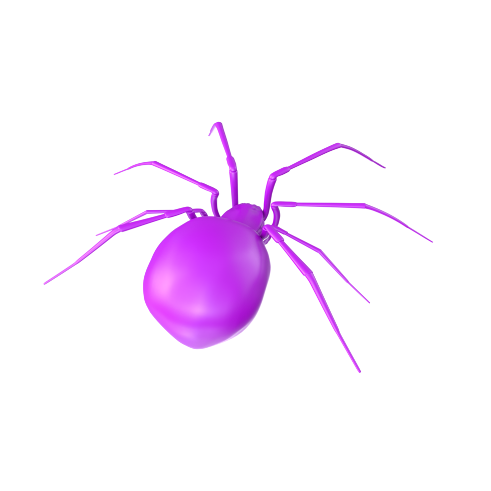 spider isolated on transparent background png