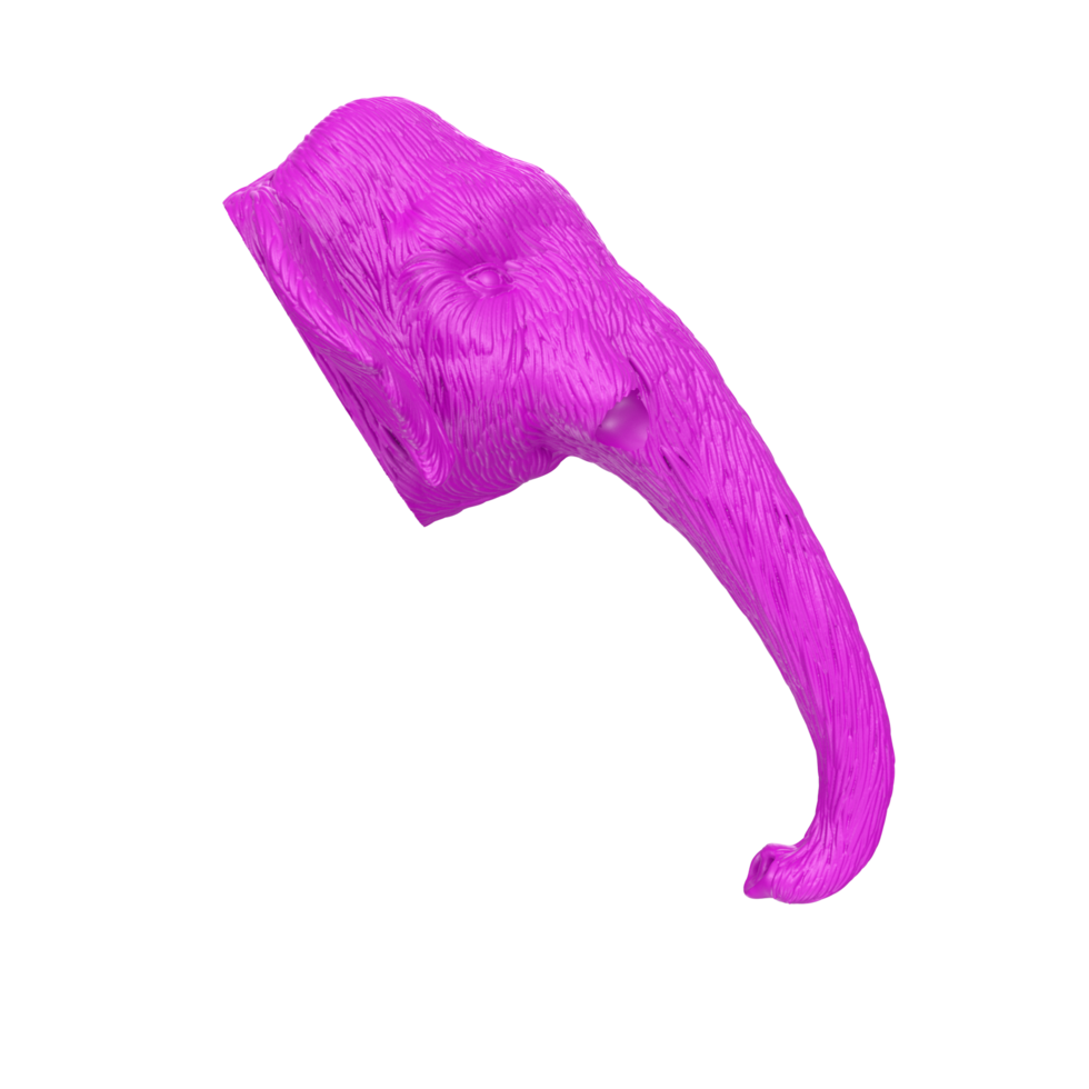 mamut cabeza aislado en transparente png