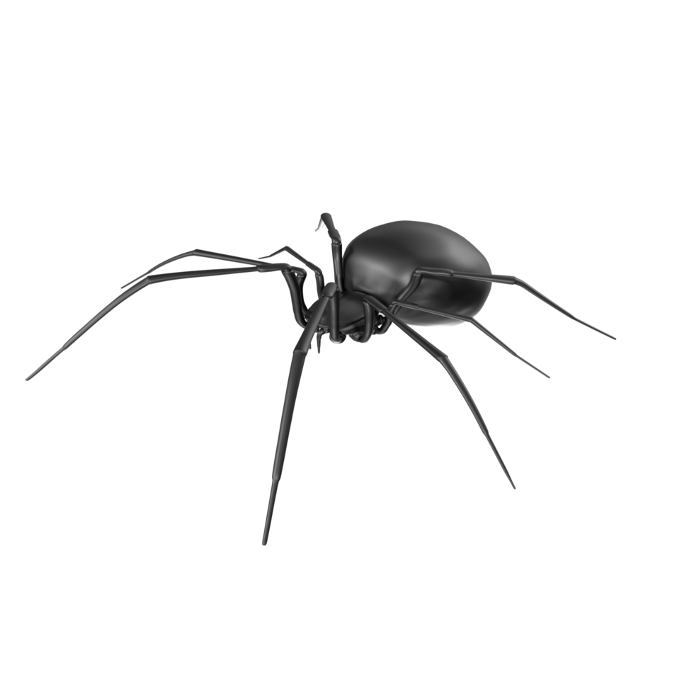 aranha isolado em transparente fundo png