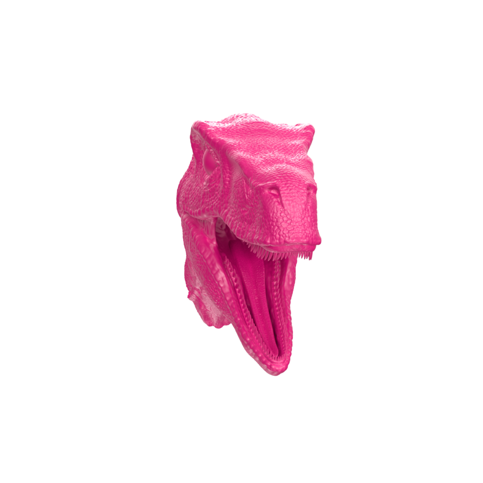 Raptor head isolated on transparent background png