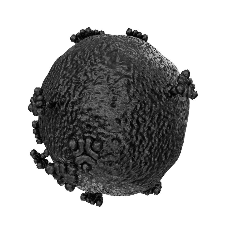 virus isolated on transparent background png
