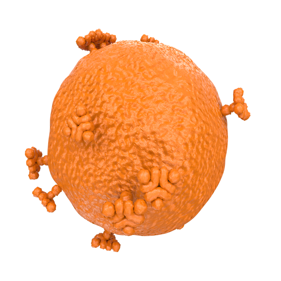 virus isolated on transparent background png