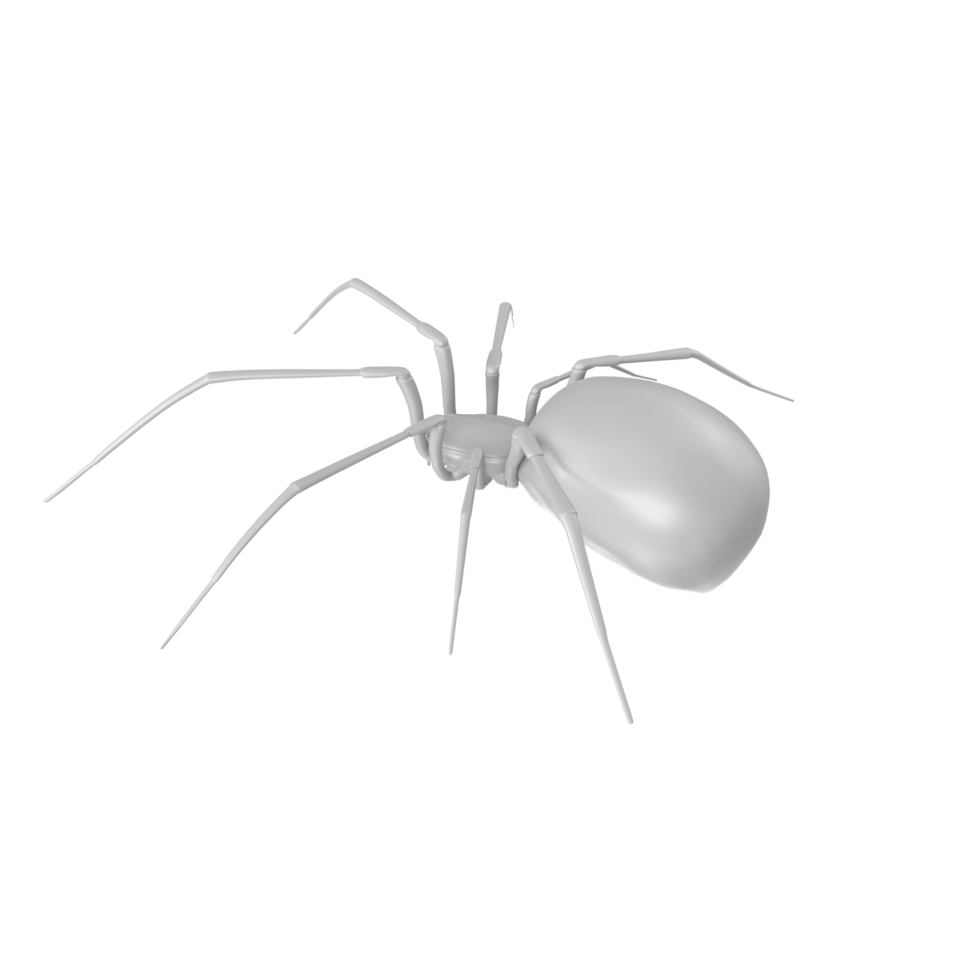 araignée isolé sur transparent Contexte png