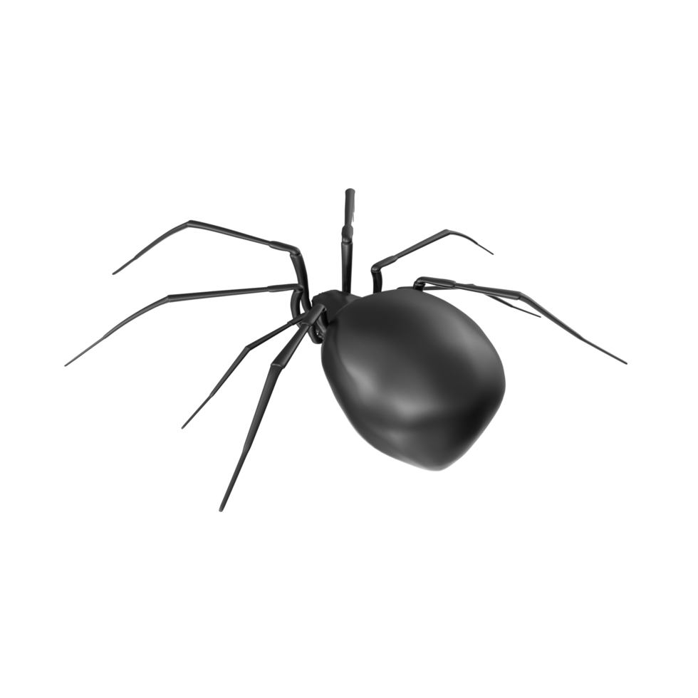 Spinne isoliert auf transparent Hintergrund png