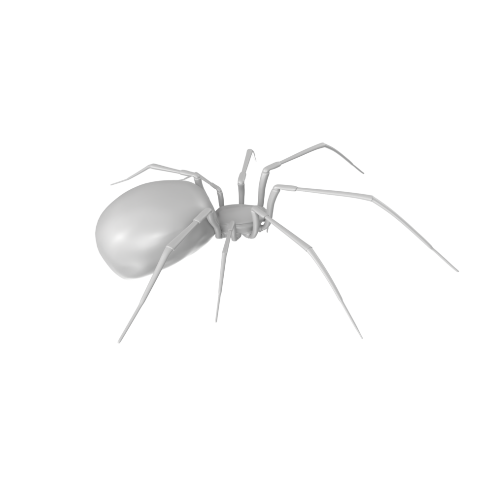 spider isolated on transparent background png