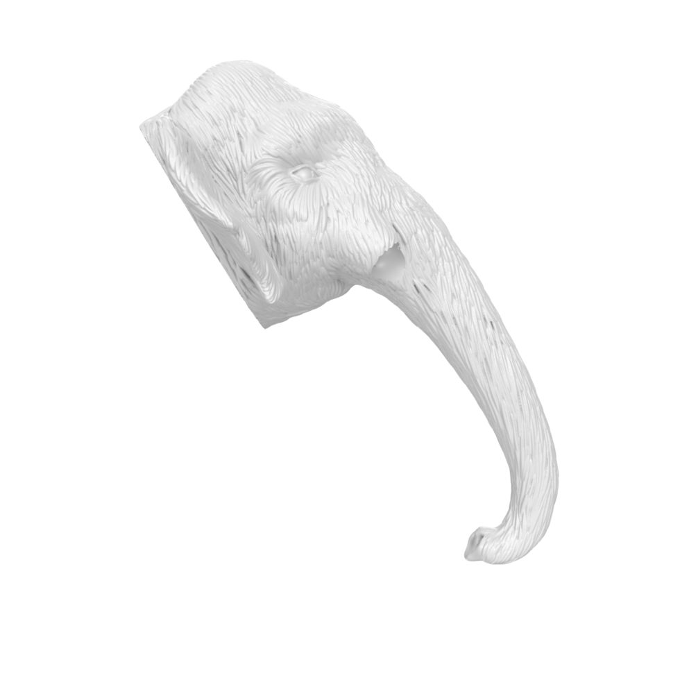 Mammoth head isolated on transparent png