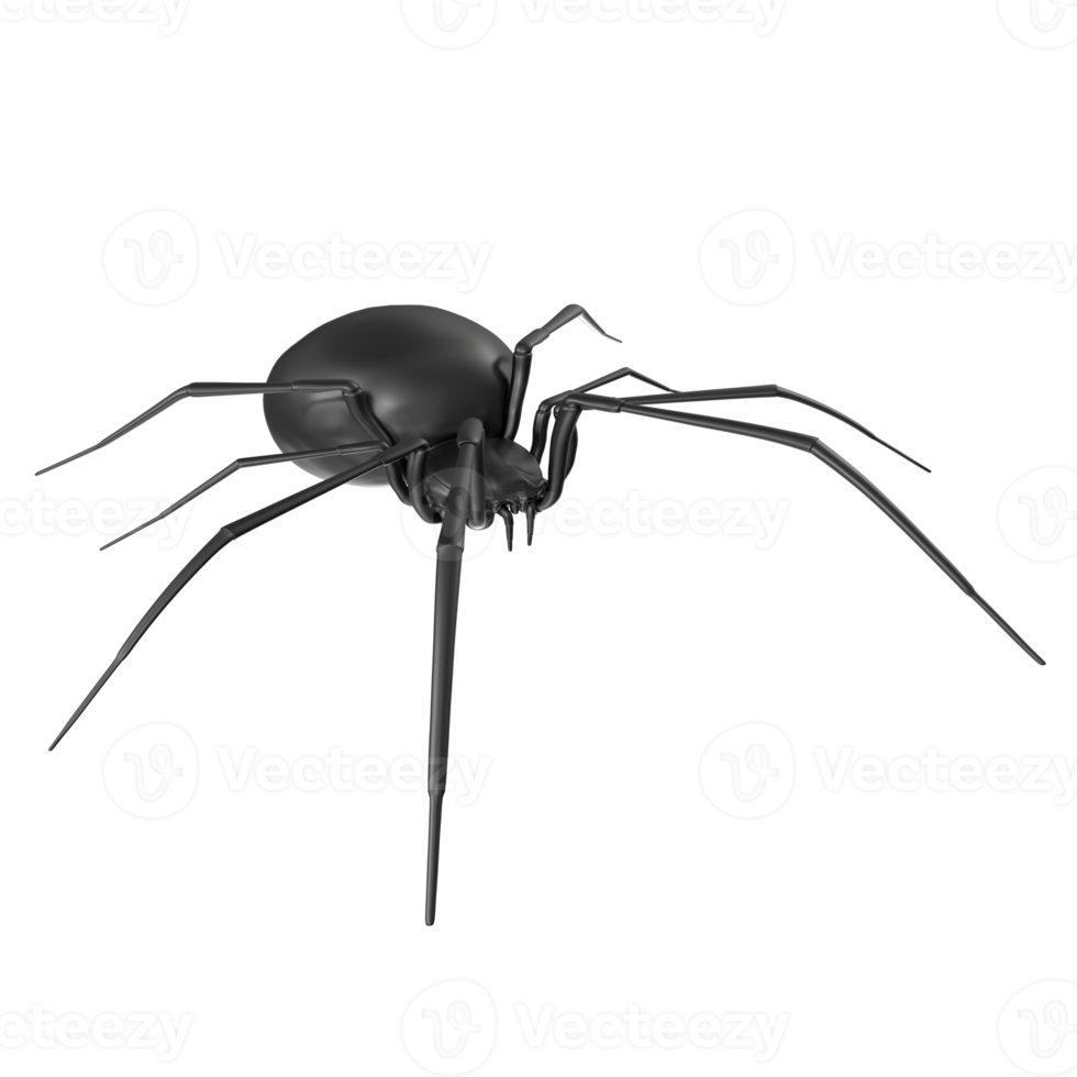 Spindel isolerat på transparent bakgrund png