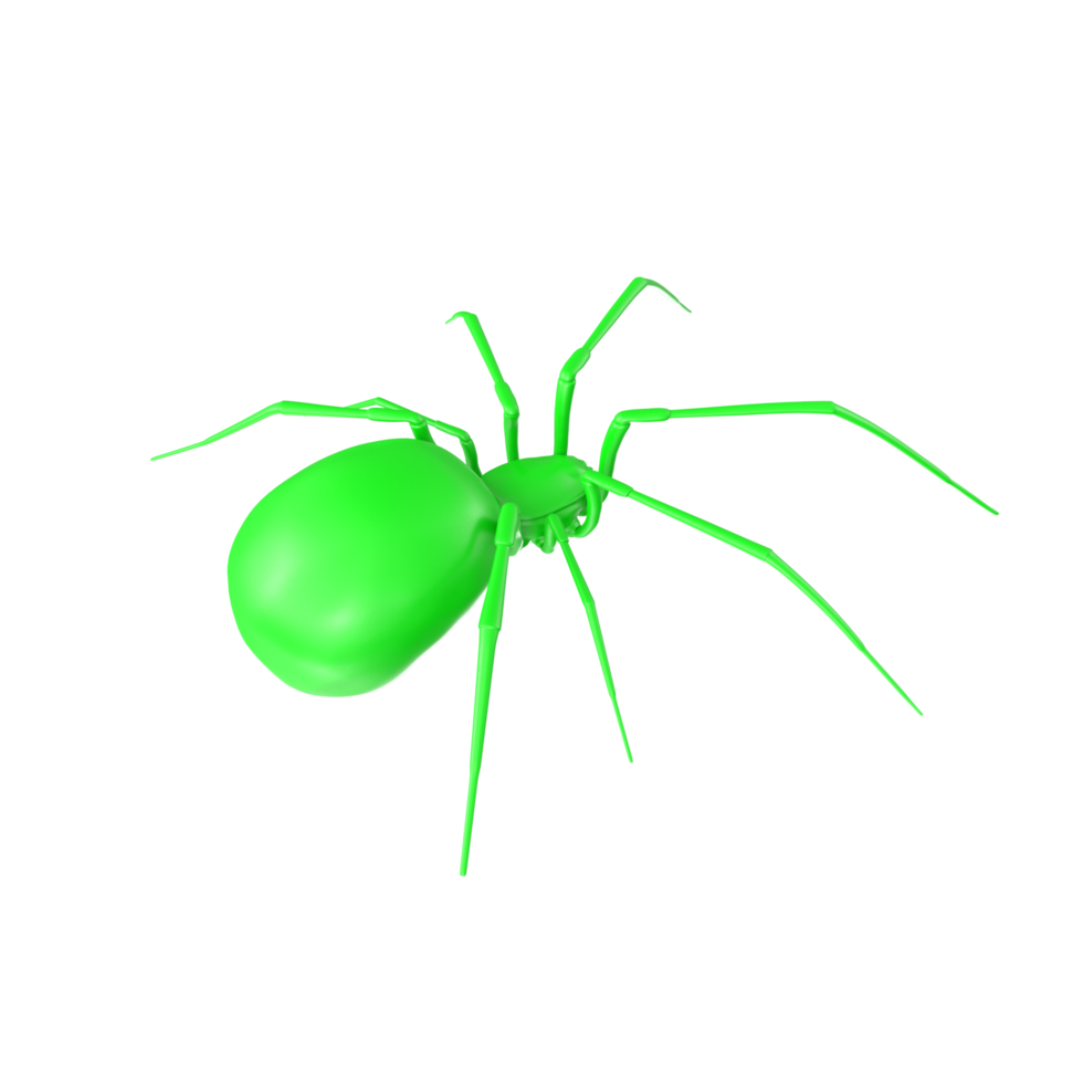 spider isolated on transparent background png