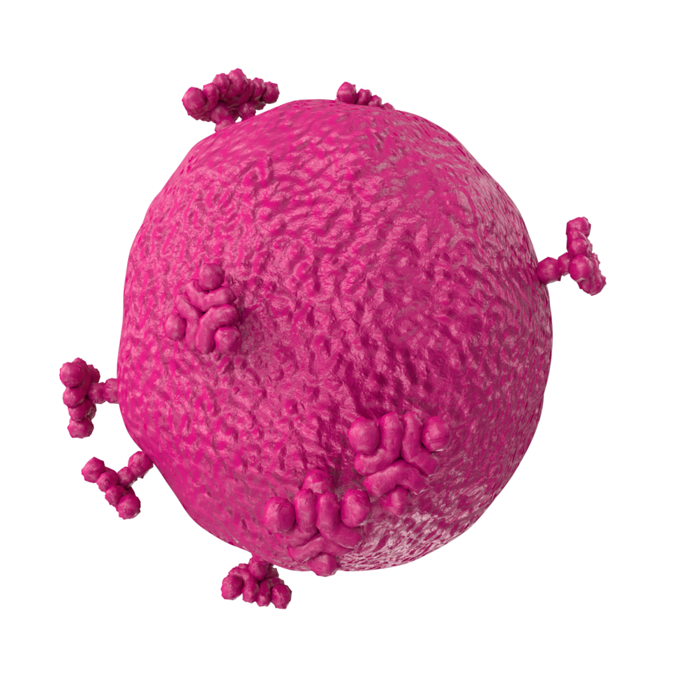 virus isolated on transparent background png