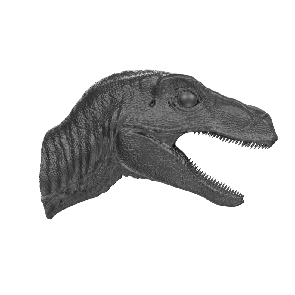 Raptor head isolated on transparent background png