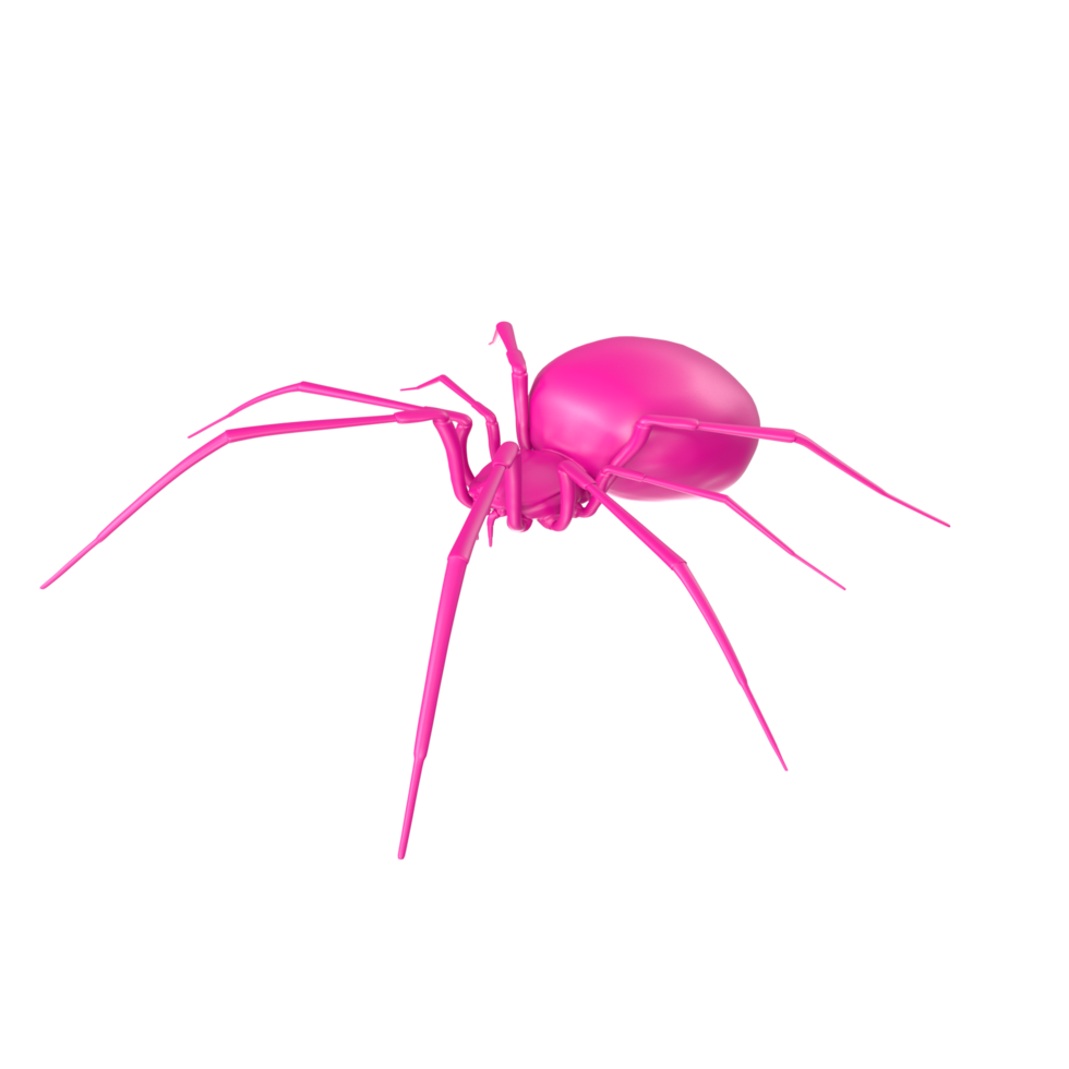 spider isolated on transparent background png