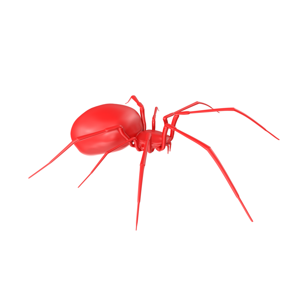 spider isolated on transparent background png